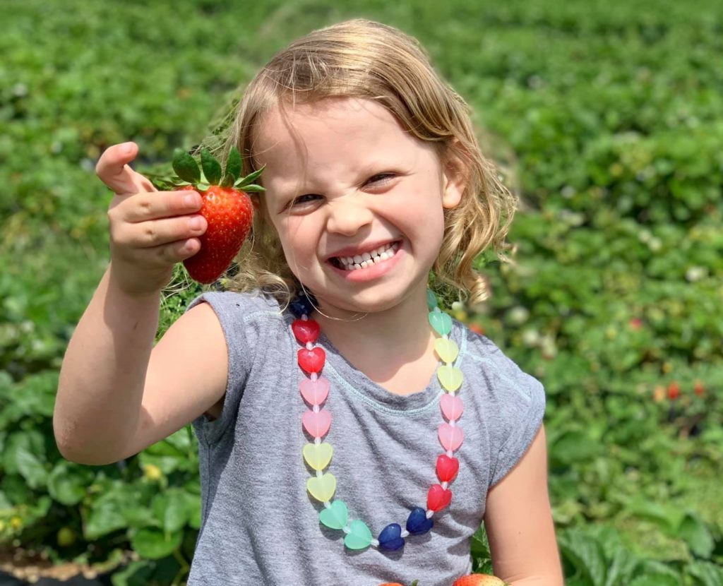 A very happy young little girl showing a big strawberry on her hand enjoying their strawberry picking activity at a Preschool & Daycare Serving Hampton Roads, VA